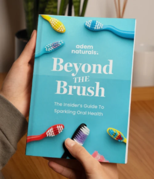 provadent_bonus_beyond_the_brush